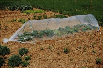 Bezbarwny tunel foliowy GardenLine 600 x 180 cm, 5,4 m²